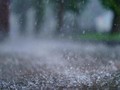 BPBD DKI Waspadai Banjir Usai Pos Pantau Angke Hulu Siaga 2