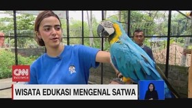 VIDEO: Menikmati Wisata Edukasi di Sleman
