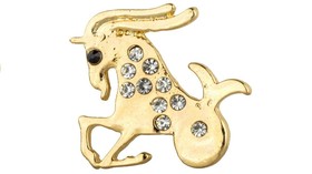 Ramalan Kartu Tarot Zodiak Capricorn Tahun 2020