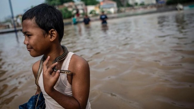 Warga patut mewaspadai bahaya ular yang mungkin bersembunyi di sekitar rumah setelah banjir.