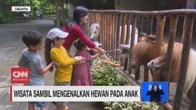 VIDEO: Wisata Sambil Mengenalkan Hewan Pada Anak