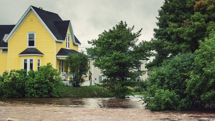 Keterbatasan lahan membuat beberapa rumah dibangun di zona yang rentan banjir. Itulah pentingnya perencanaan matang sebelum membangun rumah, Bunda.