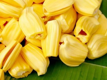 Mahal Banget, Buah Nangka Dijual Rp2,5 Juta di Swiss