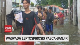 VIDEO: Waspada Leptospirosis Pasca-banjir
