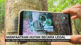 VIDEO: Manfaatkan Hutan Secara Legal (4/5)