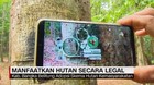 VIDEO: Manfaatkan Hutan Secara Legal (4/5)