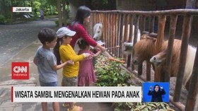 VIDEO: Wisata Sambil Mengenalkan Hewan Pada Anak