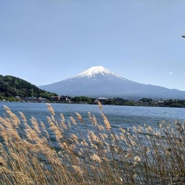 Alasan di Balik Gunung Fuji Tak Bersalju hingga Awal November