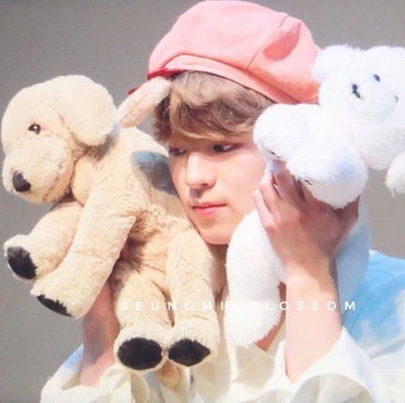 Seungmin Stray Kids Kena Flu, Fans Doakan Agar Lekas Sembuh