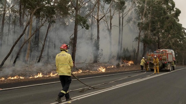 Pemerintah Australia mengerahkan 3 ribu personel militer cadangan buat mengatasi kebakaran hutan yang sudah terjadi berbulan-bulan.