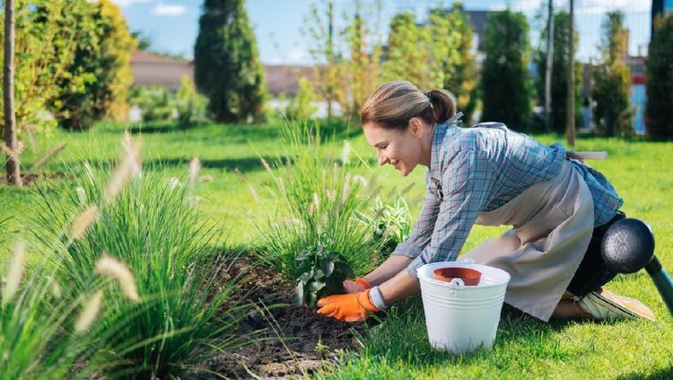 Bunda dan keluarga suka berkebun? Berbagai manfaat berikut bisa Bunda dapatkan lho.
