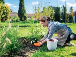 Berkebun di Rumah Banyak Manfaatnya, Bisa Tangkal Macam-macam Penyakit