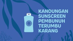 INFOGRAFIS: Kandungan Sunscreen Pembunuh Terumbu Karang