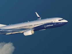 Spesifikasi Pesawat Boeing 737-800 yang Jatuh di Iran
