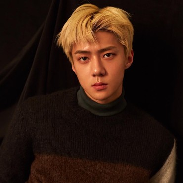 Sehun EXO Main TikTok, Fans: Untung Gak Goyang Aneh-aneh