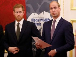 Ungkapan Sedih Pangeran William, Tahu Pangeran Harry Mundur dari Kerajaan