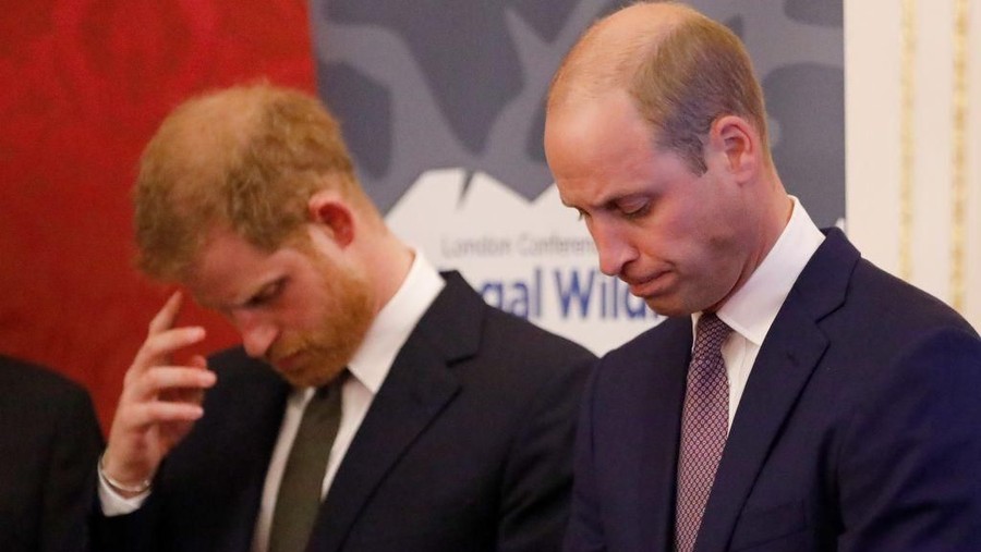 LONDON, ENGLAND - APRIL 04: (L-R) Prince Harry, Duke of Sussex, Prince William, Duke of Cambridge, Prince Charles, Prince of Wales and Sir David Attenborough attend the 