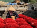 VIDEO: Merah Muda di Desa Dupa Vietnam Jelang Imlek