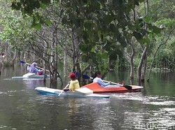 Wow, Rawa Kotor di Banyuwangi Disulap Jadi Tempat Wisata Kece