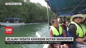 VIDEO: Jelajah Wisata Kawasan Hutan Mangrove