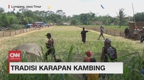 VIDEO: Serunya Mengikuti Tradisi Karapan Kambing