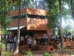 Foto: Hutan Kota yang Sejuk dan Gratis di Jakarta