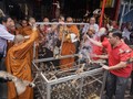 Sambut Tahun Tikus Logam, Klenteng Solo Lepas Burung dan Ikan