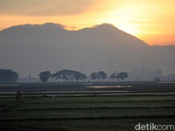 Jangan Malas Berjemur Pagi, Ini Manfaatnya