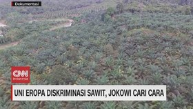 VIDEO: Jokowi Kritik Uni Eropa soal Sawit
