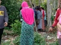 Mayat Bayi Dikerubuti Belatung Ditemukan di Sebuah Ladang Jember