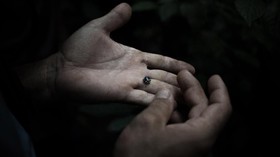 FOTO: Misteri Kupu-Kupu Raksasa di Afrika