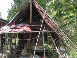 Miris! Potret Pasutri Lansia di Mamasa Hidup di Gubuk Reot
