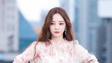 img-title Investigasi Kasus Pencurian Brankas Goo Hara Resmi Ditutup, Fans Kecewa
