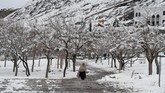 FOTO: Cuaca Buruk Melanda Pakistan dan Afghanistan Cuaca buruk yang ditandai dengan bencana tanah longsor, banjir, hingga musim dingin tengah menimpa Pakistan dan Afghanistan dalam beberapa hari terakhir.