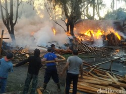 Gudang Kayu dan Mebel di Banyuwangi Ludes Terbakar