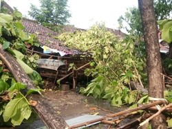 Angin Kencang di Madiun, 5 Bangunan Roboh Tertimpa Pohon