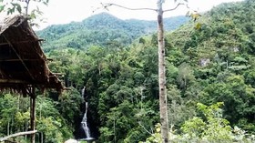 Mengundang Sinyal ke Nagari Pasia Laweh
