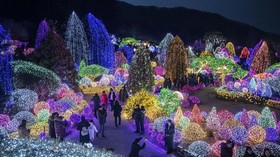 FOTO: Ketika Taman di Gapyeong Bercahaya