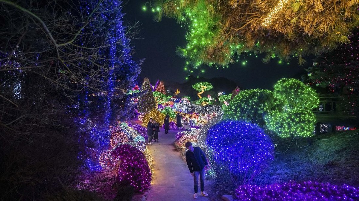 FOTO: Ketika Taman di Gapyeong Bercahaya