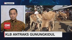 VIDEO: KLB Antraks Gunung Kidul
