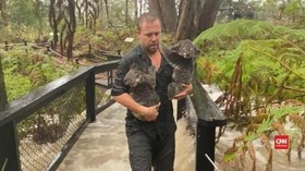 VIDEO: Karhutla Reda, Bonbin Australia Diterjang Banjir