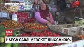 VIDEO: Harga Cabai Meroket Hingga 100 Persen