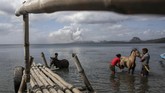 FOTO: Upaya Evakuasi Hewan Peliharaan dari Amuk Gunung Taal Sukarelawan penyelamat hewan membantu evakuasi hewan peliharaan yang ditinggal mengungsi akibat erupsi gunung Taal di Talisay, provinsi Batangas.
