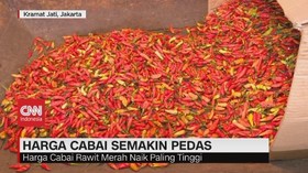 VIDEO: Harga Cabai Semakin Pedas