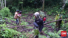 Polres Pagar Alam Bongkar 3 Hektare Ladang Ganja