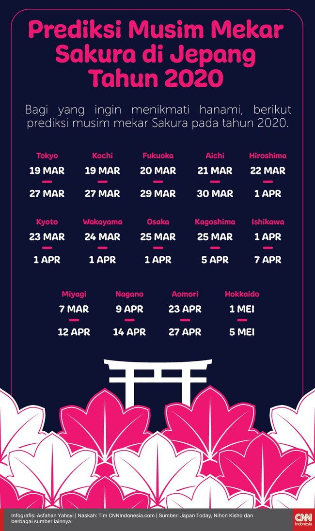 Bagi Anda yang ingin menikmati hanami, berikut prediksi musim mekar Sakura pada 2020.