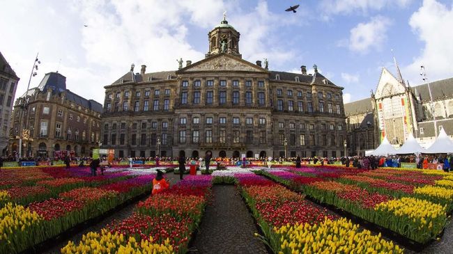 Dalam rangka Hari Tulip Nasional, ada acara bagi-bagi 200 ribu tangkai bunga tulip gratis di Royal Palace, Amsterdam, Belanda.