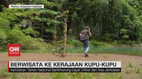 VIDEO: Berwisata ke Kerajaan Kupu-kupu