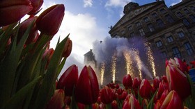FOTO: Musim Mekar Bunga Tulip Resmi Dimulai