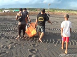 Mayat Tanpa Kepala Ditemukan di Pantai Selok Anyar Lumajang
